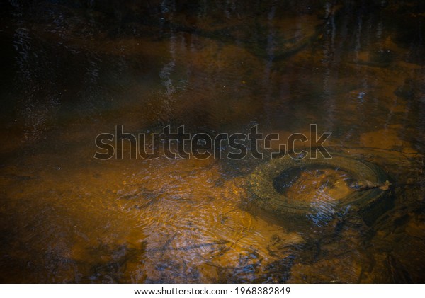 car tire in a small calm clear forest river.\
Polluted climate. Closeup