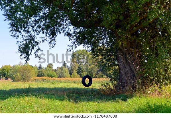 Car tire swing on\
a tree in a green meadow