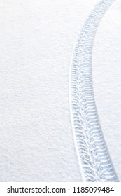 Car Tire Tracks In Fresh Snow.