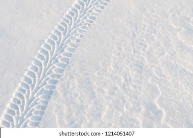 Car Tire Tracks In Fresh Snow.