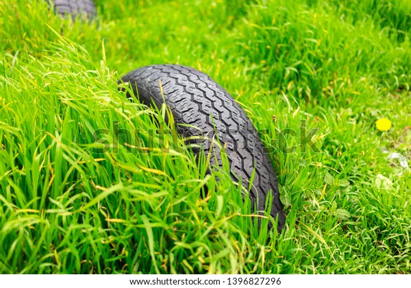 Car\
tire used as a garden decor. Tire in the green\
grass.