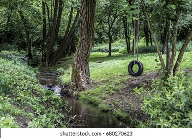 Car Tire Used As Swing On Tree Forest Near Creek Stream Concept Photo Of Childhood Nostalgia Memory Retro Vintage