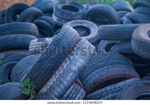 Car tires in a row on a\
shelf tire