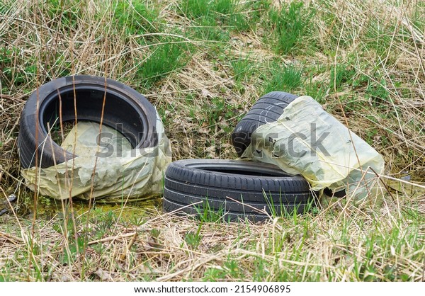 Car tires in the woods. Industrial\
pollution of the environment. Garbage on the\
grass.