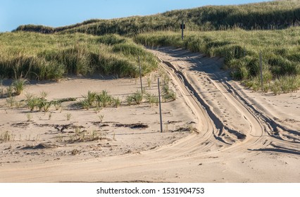 Car Tracks On The Sand In Cape Cod’s Race Point Beach.  