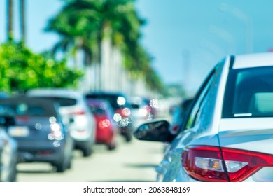 Car traffic along a main road with tropical palms