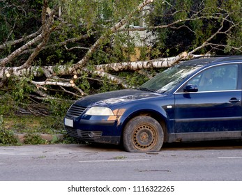 Car Trapped Under Fallen Tree After Wind Storm On June, 2018 In Tallinn City, Estonia. Broken Windshield. The Concept Of An Emergency Situation