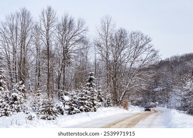 A car travels along a snow-covered road, surrounded by a tranquil winter forest. Bare and evergreen trees are coated with fresh snow, creating a peaceful and picturesque winter landscape. - Powered by Shutterstock