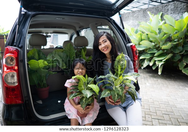 car trunk full of new plant that just been\
bought from the shop and ready for the family\'s garden. mother and\
child gardening activity