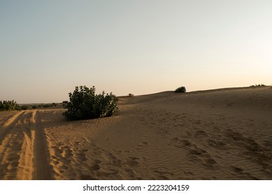 Car Tyre Marks On Sand Dunes Of Thar Desert, Rajasthan, India. Tourists Arrive On Cars To Watch Sun Rise At Desert , A Very Popular Activity Amongst Travellers.