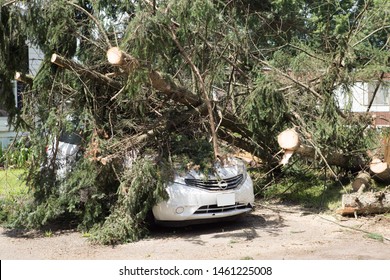 Car Under Fallen Tree. Tree Fall Down On Car During Hurricane. Insurance Problem, Bad Luck, Car Parking Concept.tree On A Car After Hurricane Damaged .vehicle Damaged By Fallen Tree During Storm.