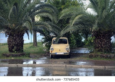 car under palms. 
yellow car beetle stands under green palm trees on the seashore after rain in a wet parking lot with puddles. - Powered by Shutterstock