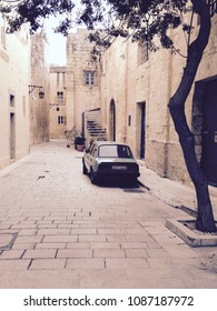 Car Under Tree 