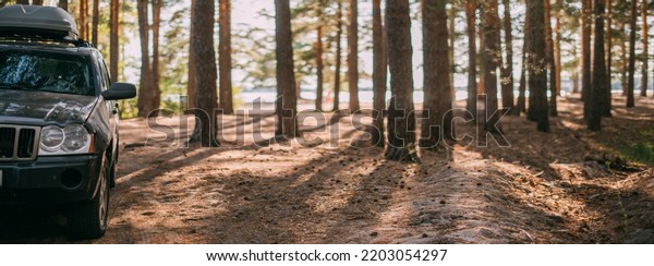 A car with an upper tourist trunk\
stands in a pine forest on the shore of a lake at sunset. SUV among\
the trees on a forest road in the sunlight. No\
one