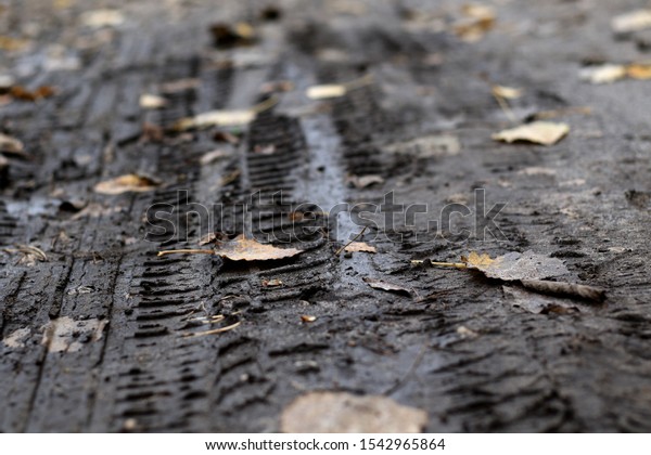 car wheel marks on muddy
road