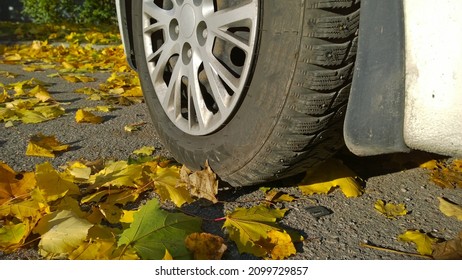 Car wheel on road. Yellow dry fallen maple leaves on asphalt. Autumn street scene. Travelling. Driving. Protection auto. Fall. Vehicle tire pressure check. Automobile hubcap. Carbon intensive concept