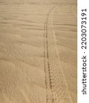 Car wheel tracks on the sand in Fayoum desert in Egypt