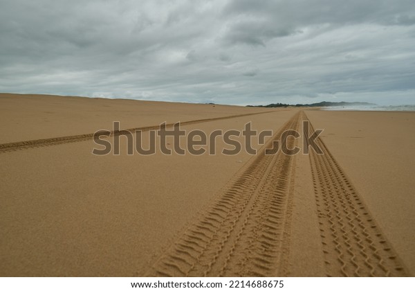 Car wheels marks on\
sand in South Africa