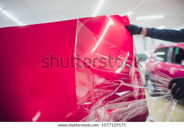 Car wrapping specialist putting vinyl foil or
film on car wrapping protective film yacht, boat, ship, car, mobile
home. pink red film hand
pulls