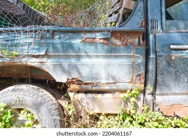 Car Wreck And Large Tree - Insurrance Or Safety Concept