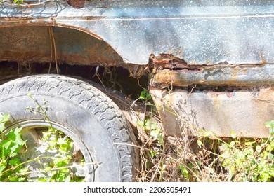 Car Wreck And Large Tree - Insurrance Or Safety Concept