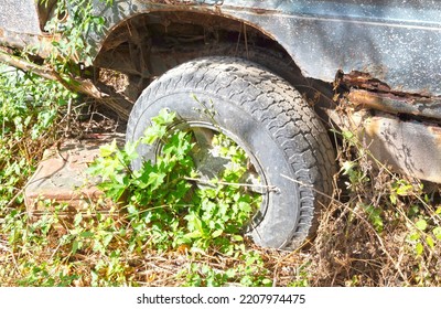 Car Wreck And Large Tree - Insurrance Or Safety Concept