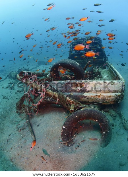car wreck underwater with orange fish around\
tropical water