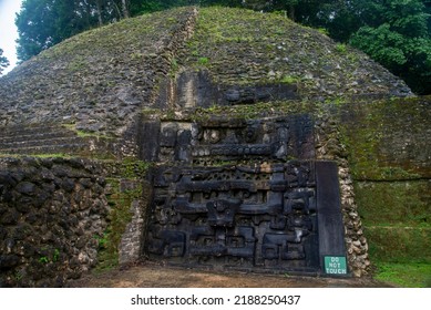 Caracol Ancient Mayan Ruins In Cayo District Belize