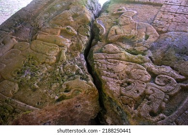 Caracol Ancient Mayan Ruins In Cayo District Belize