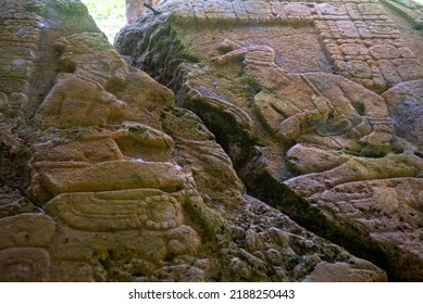 Caracol Ancient Mayan Ruins In Cayo District Belize