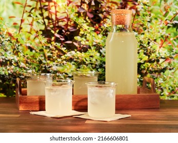 A carafe and four glasses of Elderflower cordial against a garden backdrop