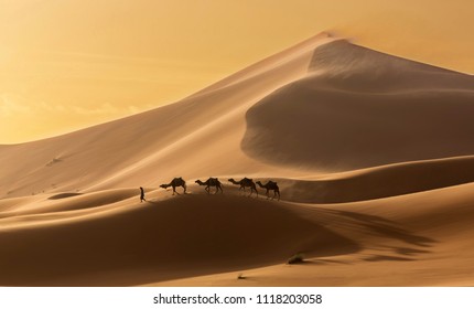 Caravan Of Camels In The Sahara Desert During Desert Storm, Morocco