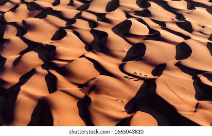 Caravan Crossing Arabian Desert , Oman.