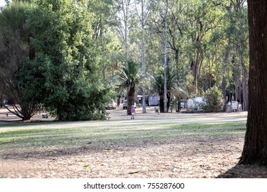 Caravan Park With Child And Kangaroo

