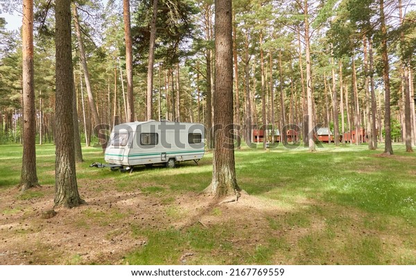 Caravan\
trailer parked on a green lawn in the evergreen pine forest. Travel\
destinations, leisure activity, eco tourism, camping site,\
transportation, RV. Freedom, wanderlust\
concept