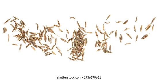 Caraway Seeds Isolated On White Background Stock Photo 1936579651 ...