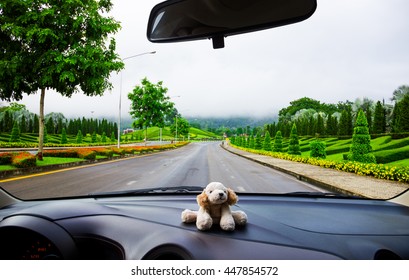 In the car,blur the beautiful green road as background.