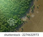 Carbon capture concept. Natural carbon sinks. Mangrove trees capture CO2 from the atmosphere. Aerial view of green mangrove forest. Blue carbon ecosystems. Mangroves absorb carbon dioxide emissions.