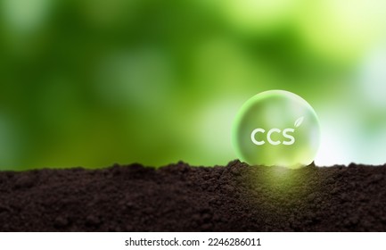 Carbon Capture and Storage (CCS) concept. CCS acronym in the glass sphere ball on nature view background. Reducing carbon emissions commitment to limit climate change and global warming.