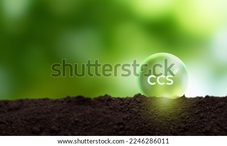 Carbon Capture and Storage (CCS) concept. CCS acronym in the glass sphere ball on nature view background. Reducing carbon emissions commitment to limit climate change and global warming.