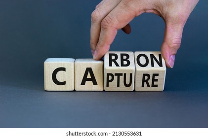 Carbon capture symbol. Businessman turns wooden cubes and changes the concept word Carbon to Capture. Beautiful grey table grey background. Business ecological carbon capture concept. Copy space.