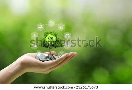 Carbon credit concept.Hands holding coins and tree with icons of energy sources for renewable, reduction of carbon emissions, carbon neutral concept. Net zero greenhouse gas emissions target.