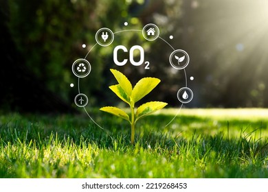 Carbon dioxide, CO2 emissions, carbon footprint concept - Shutterstock ID 2219268453
