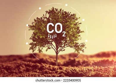 Carbon dioxide, CO2 emissions, carbon footprint concept - Shutterstock ID 2233400905