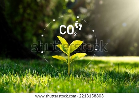 Carbon dioxide, CO2 emissions, carbon footprint concept