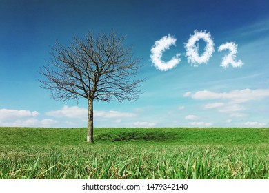 Carbon Dioxide Emissions Control And Pollution Concept.