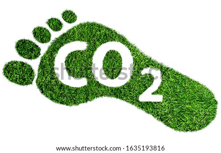 carbon footprint symbol or concept, barefoot footprint made of lush green grass with text CO2