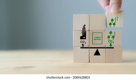 Carbon neutral balancing CO2  emission offset concept. Planting of trees and renewable energy to absorb CO2 in compensation of same amount produced. The wooden cube with carbon offset icon, copy space