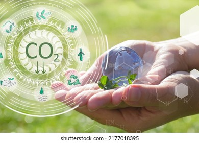 Carbon Neutral Bussiness Concept, Climate Positive And Net Zero Carbon Emissions