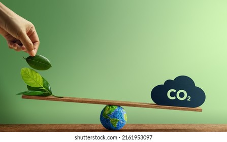 Carbon Neutral and ESG Concepts. Carbon Emission, Clean Energy. Globe Balancing between a Green leaf and CO2. Sustainable Resources, Concern about Environmental. Plant a Tree Sign